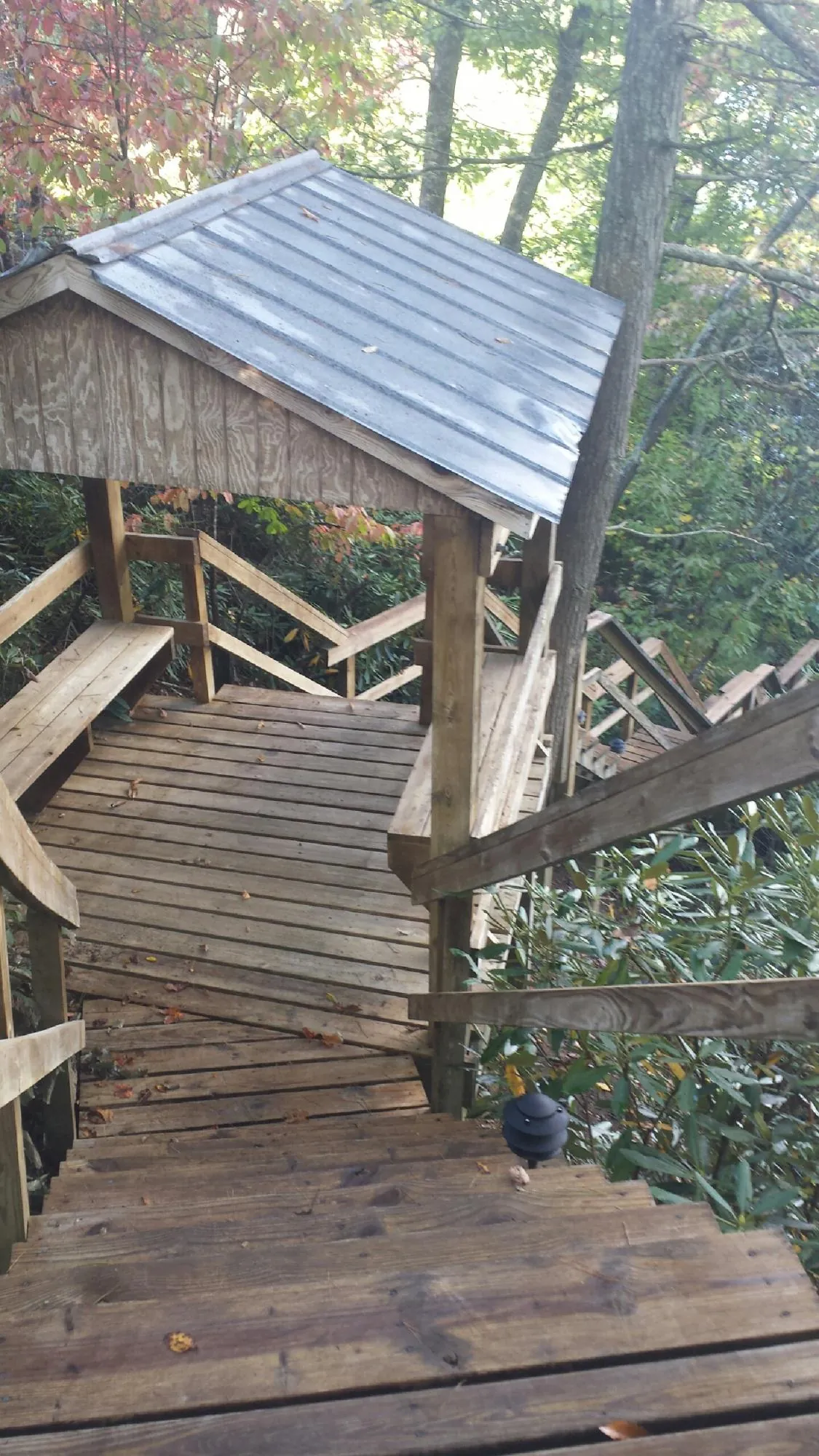 Metal roofed shelter over wooden steps on a wooded walkway — Skylight Repair & Installation work by our crew in Eugene