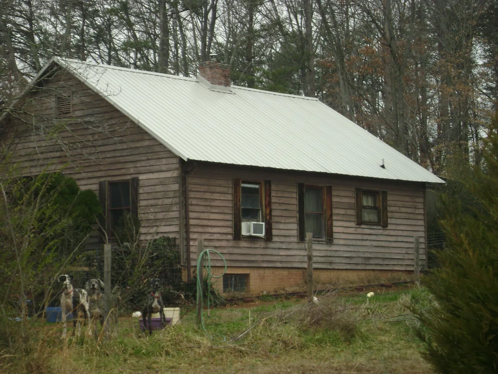 White metal roof on an old wood sided farmhouse, from a Asphalt Shingle Roof Repair job in Eugene